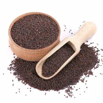 Cumin Seeds (Jeera)