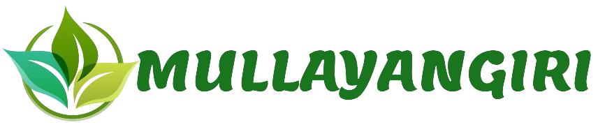 Mullyangiri